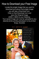 01 Download Instructions